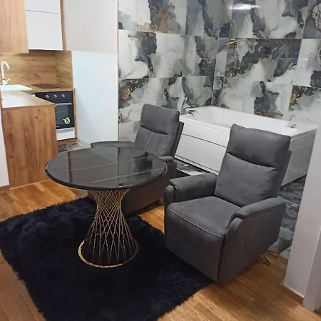 Apartment Centar *